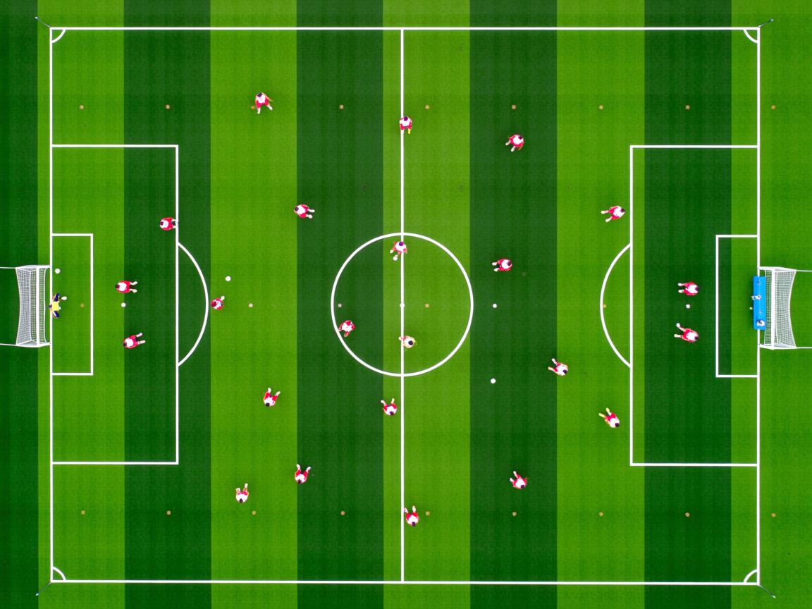 开云体育官网-“水上救生：三叉湖游泳馆带来国际级救援技术大比拼”  第2张