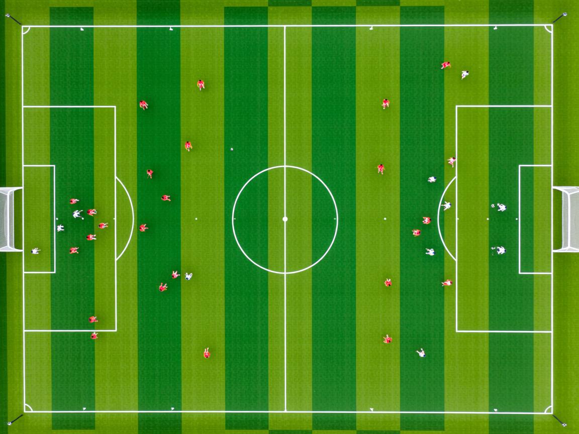开云体育在线入口-亚洲杯中国队夺冠 球迷沸腾庆祝胜利，亚洲杯冠军中国队
