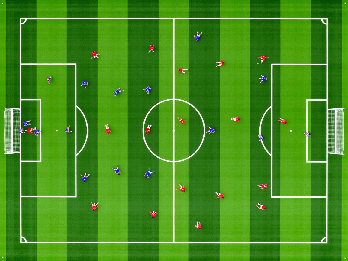 开云体育在线-体育志愿服务基地建设工作加速推进，教育体育志愿服务队