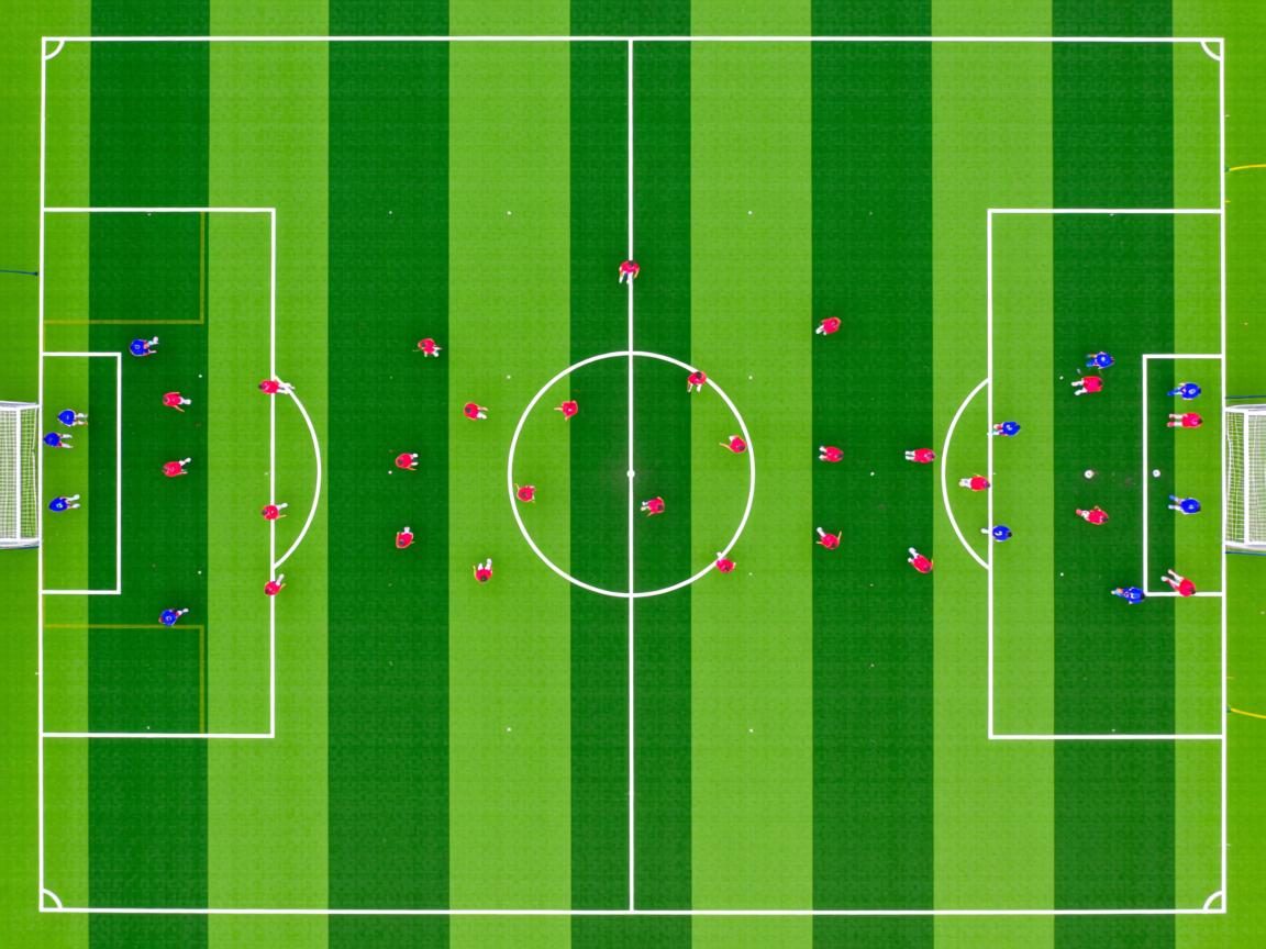 开云体育在线-体育志愿服务基地建设工作加速推进，教育体育志愿服务队  第3张