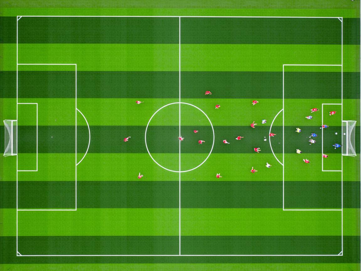 开云体育在线下载-搏击项目设立青少年安全体验专区，青少年搏击比赛视频